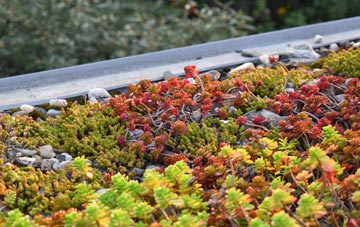 the cost of Glyn Neath green roof installation